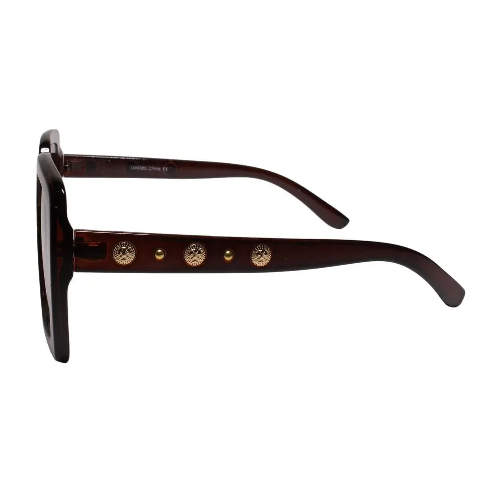 Swag Hip Hop Rapper DJ Gold Lion Medallion Brown Square Sunglasses
